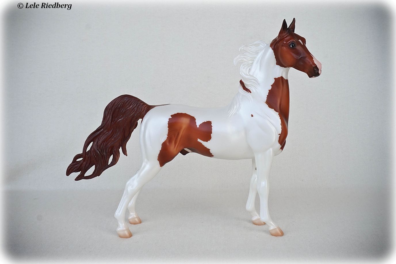 Paddyngton's Mark of Distinction | BreyerHorseRef